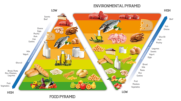 Food & Environmental Pyramids